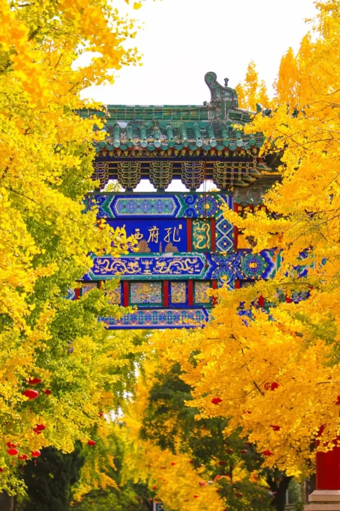 跟著孔子遊曲阜