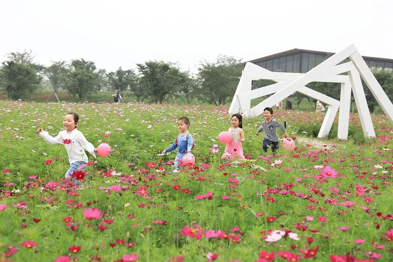 曲阜仙河花海生態樂園
